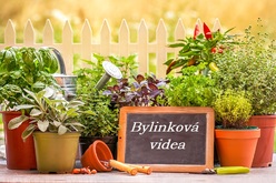 zbynek mlcoch byliny bylinky videa