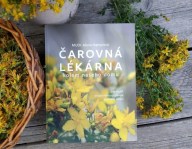 carovna-lekarna-kolem-naseho-domu